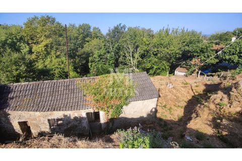 Villa a Viana do Castelo, Viana do Castelo, Viana do Castelo - € 45.000 | Ref: D349 - foto 3