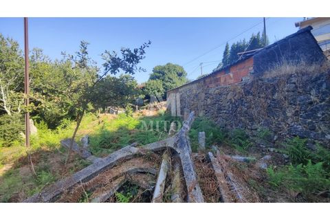 Villa a Viana do Castelo, Viana do Castelo, Viana do Castelo - € 45.000 | Ref: D349 - foto 15