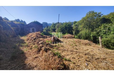 Villa a Viana do Castelo, Viana do Castelo, Viana do Castelo - € 45.000 | Ref: D349 - foto 16
