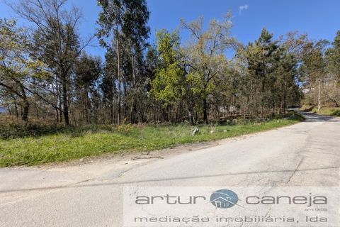 Helårsgrund i Arcos de Valdevez, Viana do Castelo, Arcos de Valdevez - € 150.000 | Ref: 7155 - foto 1