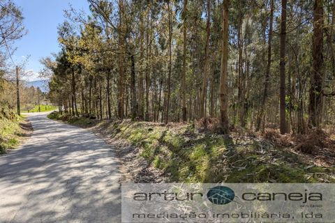 Helårsgrund i Arcos de Valdevez, Viana do Castelo, Arcos de Valdevez - € 150.000 | Ref: 7155 - foto 2