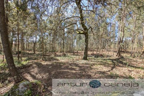 Helårsgrund i Arcos de Valdevez, Viana do Castelo, Arcos de Valdevez - € 150.000 | Ref: 7155 - foto 3