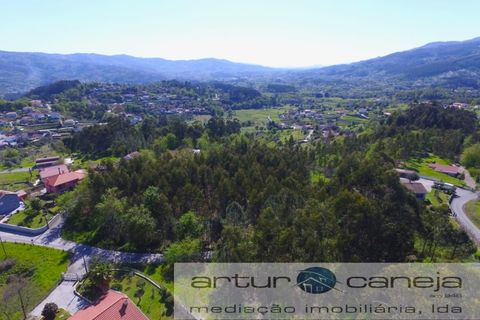 Helårsgrund i Arcos de Valdevez, Viana do Castelo, Arcos de Valdevez - € 150.000 | Ref: 7155 - foto 7