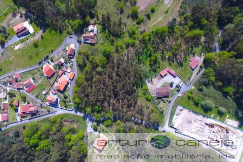 Helårsgrund i Arcos de Valdevez, Viana do Castelo, Arcos de Valdevez - € 150.000 | Ref: 7155 - foto 8