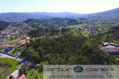 Helårsgrund i Arcos de Valdevez, Viana do Castelo, Arcos de Valdevez - € 150.000 | Ref: 7155 - foto 9