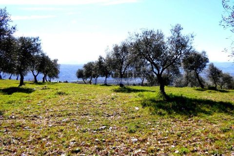 Terra a Vila Flor, Braganca, Vila Flor - € 300.000 | Ref: 9765_Q - foto 6