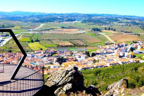 Terra a Vila Flor, Braganca, Vila Flor - € 300.000 | Ref: 9765_Q - foto 8