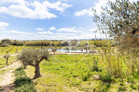 Villa a Algaida, Mallorca, Algaida - € 17.500.000 | Ref: VPM2503009 - foto 29