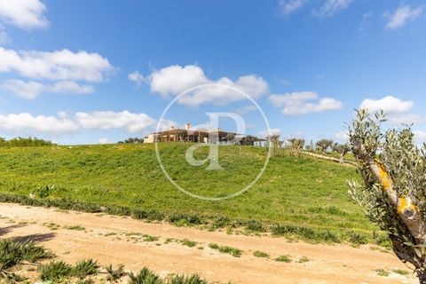 Villa a Algaida, Mallorca, Algaida - € 17.500.000 | Ref: VPM2503009 - foto 40