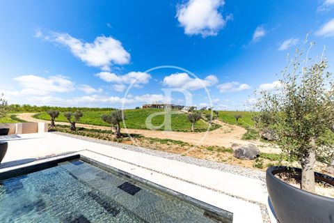 Villa a Algaida, Mallorca, Algaida - € 17.500.000 | Ref: VPM2503009 - foto 41