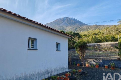 Byhus i Madalena, Pico, Madalena - € 367.500 | Ref: 139923 - foto 14