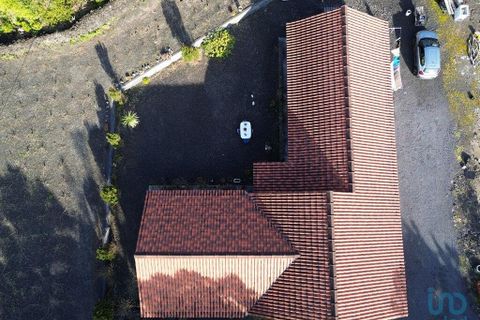 Byhus i Madalena, Pico, Madalena - € 367.500 | Ref: 139923 - foto 15