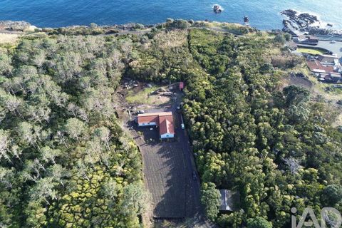 Byhus i Madalena, Pico, Madalena - € 367.500 | Ref: 139923 - foto 17