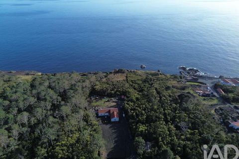 Byhus i Madalena, Pico, Madalena - € 367.500 | Ref: 139923 - foto 18