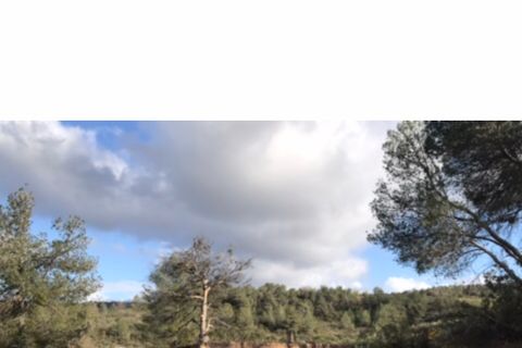 Finca i Flix, Tarragona, Flix - € 18.000 | Ref: F7 - foto 12