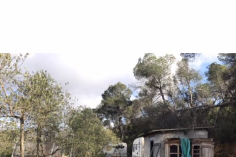 Finca i Flix, Tarragona, Flix - € 18.000 | Ref: F7 - foto 8