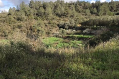 Finca i Flix, Tarragona, Flix - € 18.000 | Ref: F7 - foto 9