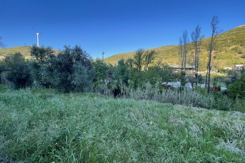 Helårsgrund i Lousa, Coimbra, Lousa - € 90.000 | Ref: TER_22 - foto 2