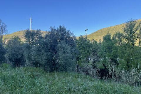 Helårsgrund i Lousa, Coimbra, Lousa - € 90.000 | Ref: TER_22 - foto 3