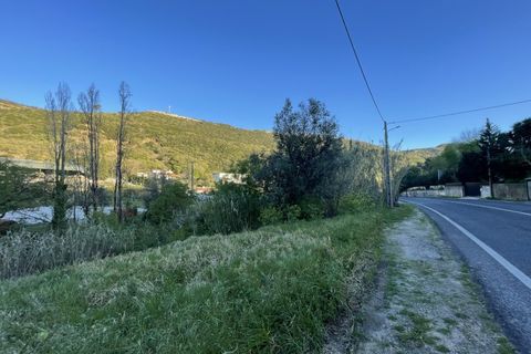 Helårsgrund i Lousa, Coimbra, Lousa - € 90.000 | Ref: TER_22 - foto 4