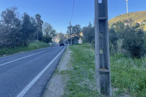 Helårsgrund i Lousa, Coimbra, Lousa - € 90.000 | Ref: TER_22 - foto 6