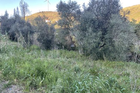 Helårsgrund i Lousa, Coimbra, Lousa - € 90.000 | Ref: TER_22 - foto 8