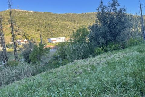 Helårsgrund i Lousa, Coimbra, Lousa - € 90.000 | Ref: TER_22 - foto 9