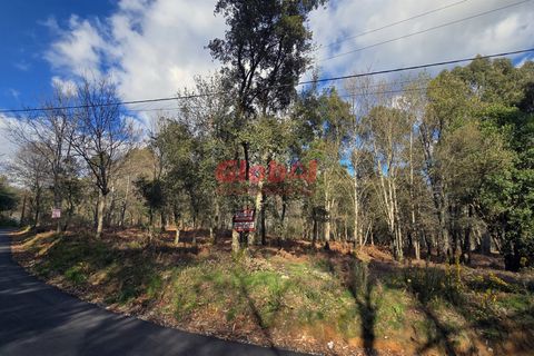 Helårsgrund i Viseu, Viseu, Viseu - € 399.000 | Ref: 189252073 - foto 1
