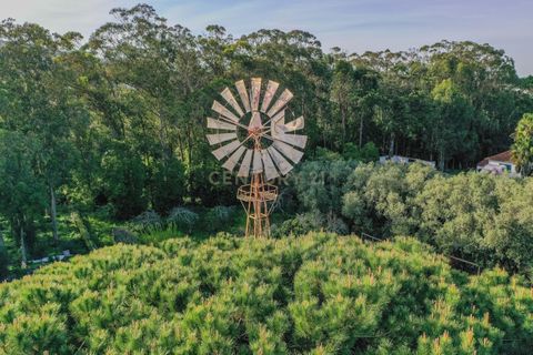Farm hus i Sintra, Lisbon, Sintra - € 1.200.000 | Ref: C0221-03661 - foto 4
