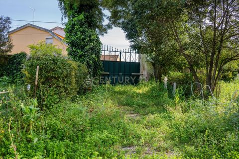 Farm hus i Sintra, Lisbon, Sintra - € 1.200.000 | Ref: C0221-03661 - foto 47