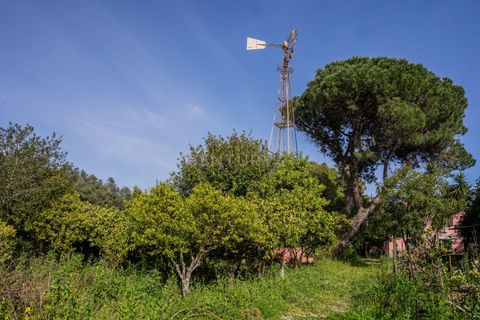Farm hus i Sintra, Lisbon, Sintra - € 1.200.000 | Ref: C0221-03661 - foto 49