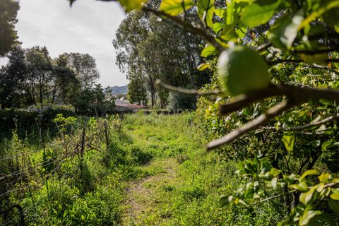 Farm hus i Sintra, Lisbon, Sintra - € 1.200.000 | Ref: C0221-03661 - foto 50