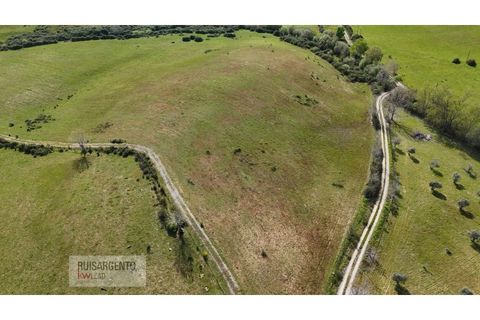 Terra a Ladoeiro, Castelo Branco, Ladoeiro - € 125.000 | Ref: TER_183RS020425 - foto 2