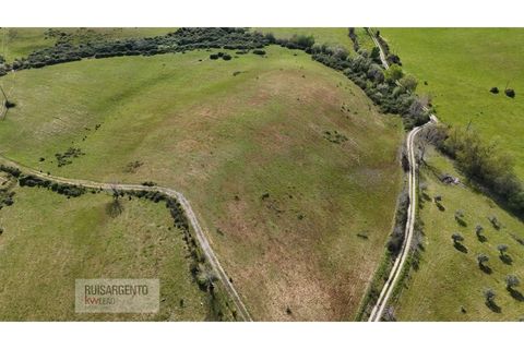 Terra a Ladoeiro, Castelo Branco, Ladoeiro - € 125.000 | Ref: TER_183RS020425 - foto 3