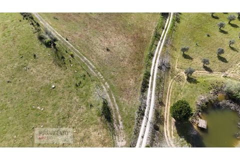 Terra a Ladoeiro, Castelo Branco, Ladoeiro - € 125.000 | Ref: TER_183RS020425 - foto 4