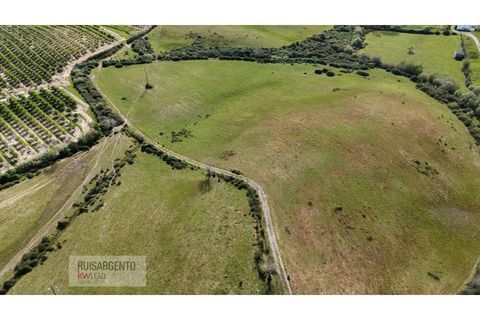 Terra a Ladoeiro, Castelo Branco, Ladoeiro - € 125.000 | Ref: TER_183RS020425 - foto 5