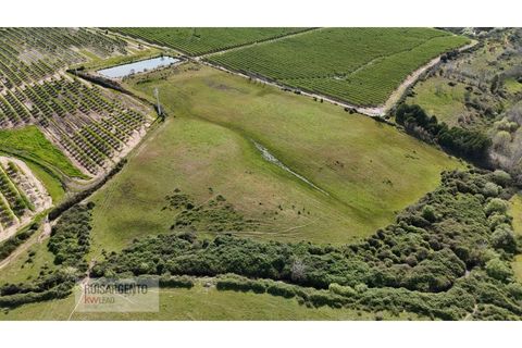 Terra a Ladoeiro, Castelo Branco, Ladoeiro - € 125.000 | Ref: TER_183RS020425 - foto 6