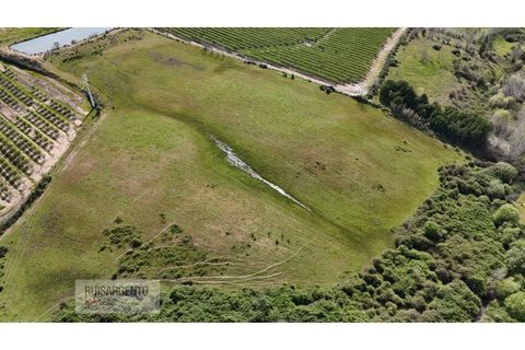 Terra a Ladoeiro, Castelo Branco, Ladoeiro - € 125.000 | Ref: TER_183RS020425 - foto 7