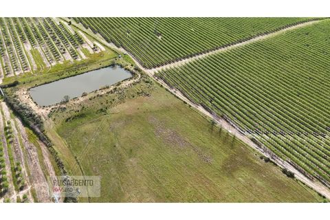 Terra a Ladoeiro, Castelo Branco, Ladoeiro - € 125.000 | Ref: TER_183RS020425 - foto 8