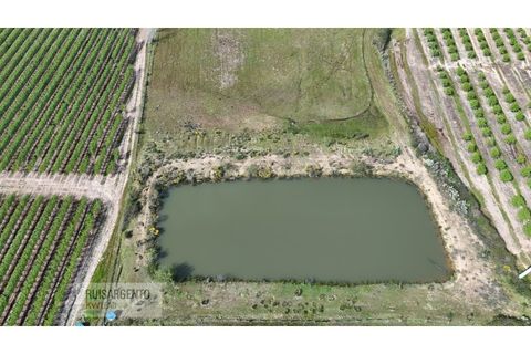 Terra a Ladoeiro, Castelo Branco, Ladoeiro - € 125.000 | Ref: TER_183RS020425 - foto 9