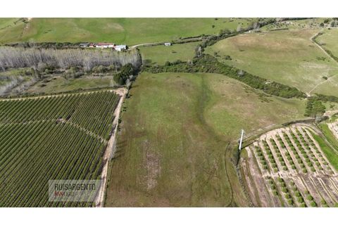 Terra a Ladoeiro, Castelo Branco, Ladoeiro - € 125.000 | Ref: TER_183RS020425 - foto 11