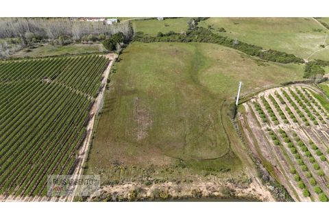 Terra a Ladoeiro, Castelo Branco, Ladoeiro - € 125.000 | Ref: TER_183RS020425 - foto 12