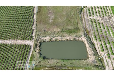 Terra a Ladoeiro, Castelo Branco, Ladoeiro - € 125.000 | Ref: TER_183RS020425 - foto 13