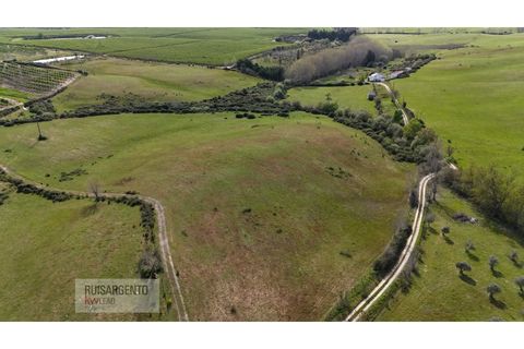 Terra a Ladoeiro, Castelo Branco, Ladoeiro - € 125.000 | Ref: TER_183RS020425 - foto 15