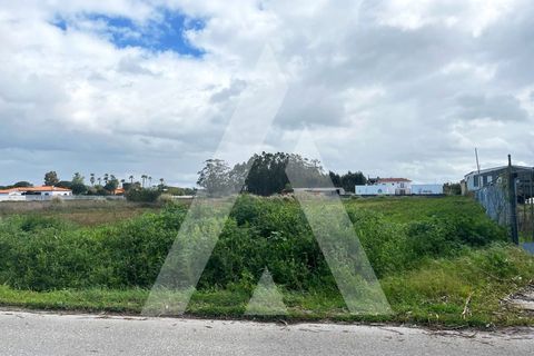 Helårsgrund i Vagos, Aveiro, Vagos - € 74.999 | Ref: 1030910/25BL - foto 6