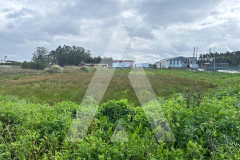 Helårsgrund i Vagos, Aveiro, Vagos - € 74.999 | Ref: 1030910/25BL - foto 8
