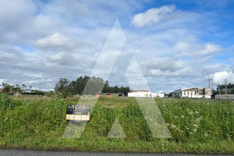 Helårsgrund i Vagos, Aveiro, Vagos - € 74.999 | Ref: 1030910/25BL - foto 4