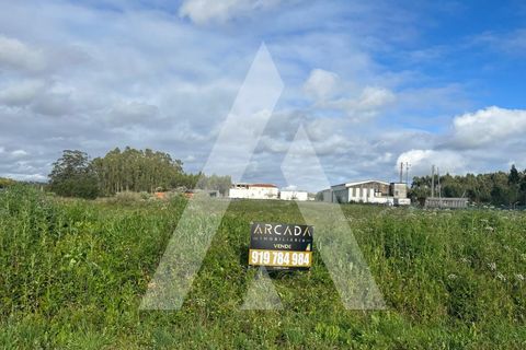 Helårsgrund i Vagos, Aveiro, Vagos - € 74.999 | Ref: 1030910/25BL - foto 5