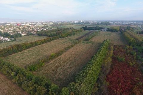 Helårsgrund i Valence, Drome, Valence - € 87.000 | Ref: CANOPEE_LOT_68 - foto 2