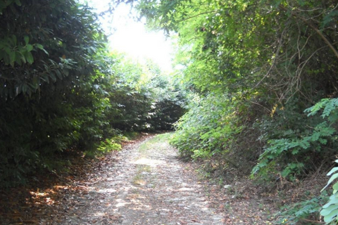Landejendom i Teolo, Padua, Teolo - € 800.000 | Ref: R114 - foto 3